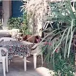 Hotel Galeno Rome
