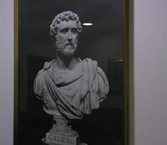 Ξενοδοχείο Galeno